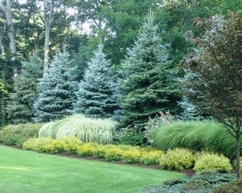 Large Yard Landscaping, Evergreen Landscape, Large Backyard Landscaping, Easy Landscape, Landscape Gardening, No Grass Backyard, Landscaping Trees, Privacy Landscaping, Landscaping With Boulders