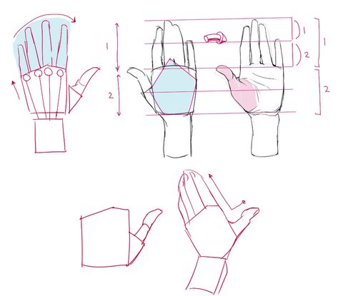 Hand Gesture Drawing, Hand Anatomy, Hands Tutorial, Draw Hands, Anime Hands, Anatomy Tutorial, Human Anatomy Drawing, Hand Drawing Reference, Human Anatomy Art