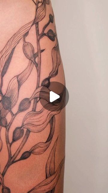 Giant Kelp Tattoo, Bull Kelp Tattoo, Kelp Forest Tattoo, Body Wrap Tattoo, Kelp Tattoo, Wrap Tattoo, Freehand Drawing, Forest Tattoos, Kelp Forest