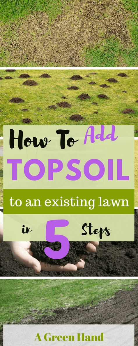 How To Add Topsoil To An Existing Lawn - A Green Hand Reseeding Lawn, Overseeding Lawn, Plastic Lawn Edging, Lawn Renovation, Lawn Repair, Lawn Mowing, Aerate Lawn, Diy Lawn, Lawn Care Tips