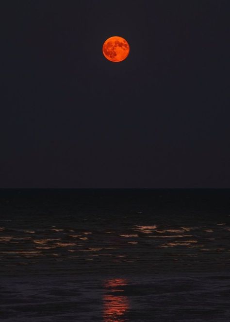 Aesthetically Pleasing Pictures, Nights At The Beach, Jungle Aesthetic, Aesthetic Artsy, Nautical Aesthetic, Moon Lover, Futuristic Aesthetic, Soft Grunge Aesthetic, Aesthetic Dark Academia