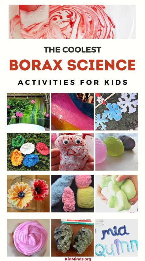 Borax Science Experiments, Borax Experiments For Kids, Pre K Science Experiments, Borax Experiments, Borax Crafts, Pre-k Science, Borax Crystals, Stem Activities Preschool, School Kids Activities