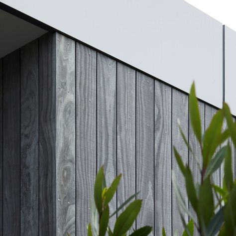 Revitalizing Home Exterior with Accoya Color Grey cladding - Accoya Grey Cladding Exterior, Cladding House Exterior, Country Villa, Gallery Show, House Cladding, Christchurch New Zealand, Modern Villa, Home Exterior, Christchurch