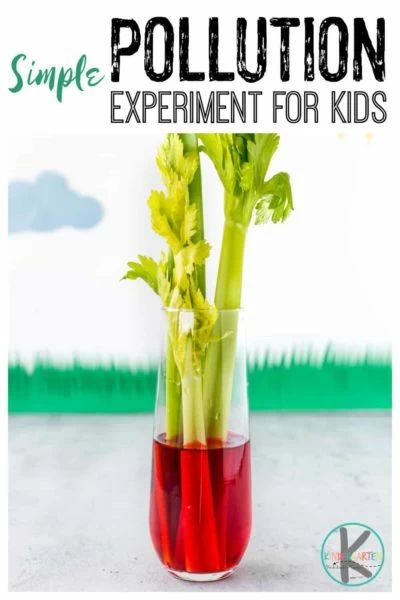 Pollution Experiment For Kids, Water Pollution Experiment, Pollution Experiment, Celery Water, Earth Day Kindergarten Activities, Earth Day Science, Hibernation Preschool Activities, Pollution Activities, Plant Experiments