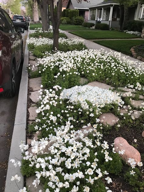 Parking Strip Landscaping Ideas, Road Verge Landscaping, Vinca Flowers Front Yards, Park Strip Landscaping Utah, Park Strip Landscaping Ideas, Easement Landscaping Ideas, Hell Strip Landscaping, Parking Strip Landscaping, Roadside Landscaping