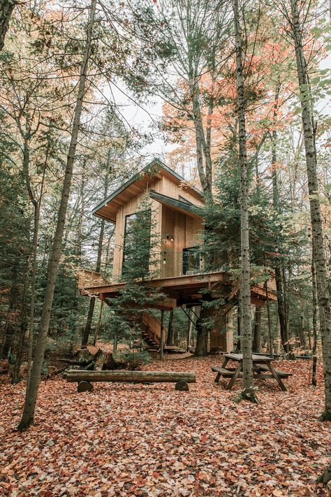 Ship Ladder, Loft Ceiling, Propane Fireplace, Treehouse Cabins, Tree House Designs, Appartement Design, Forest View, House Beds, Beautiful Forest