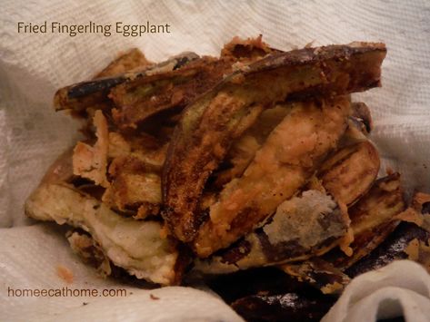 Picture Fingerling Eggplant Recipes, White Eggplant, Crab Dip, Garden Stand, Eggplant Recipes, Organic Garden, Summer Vegetable, Organic Gardening, Eggplant