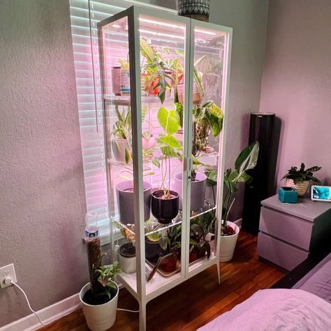 The Ultimate Ikea Milsbo Greenhouse Cabinet Ikea Glass Plant Cabinet, Ikea Greenhouse Ideas, Ikea Grow Cabinet, Ikea Greenhouse Cabinet Diy, Diy Greenhouse Cabinet, Ikea Milsbo Greenhouse, Ikea Plant Cabinet, Milsbo Greenhouse, Ikea Indoor Garden