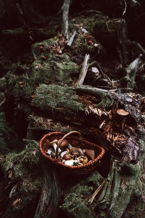 how witchcraft made me a christian – i am anastasia Forest Witch Aesthetic, Green Witch Aesthetic, Dark Naturalism, Goblincore Aesthetic, Witch Core, Cottage Witch, Forest Witch, Witch Vibes, Witchy Aesthetic