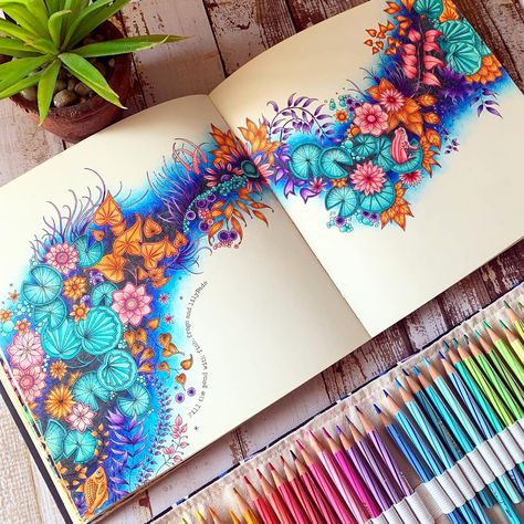 All Posts • Instagram Johanna Basford Secret Garden Coloring Book, Secret Garden Coloring Book Finished, Colouring Drawing, Lost Ocean Coloring Book, Colored Pencil Art Projects, Forest Coloring, Colouring Ideas, Basford Secret Garden, Enchanted Forest Coloring Book