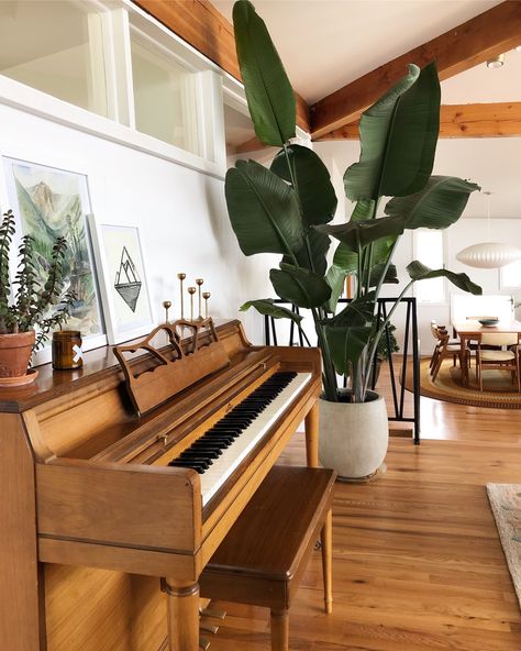 Piano Room Design, Modern Music Room, Piano Room Decor, Piano Living Rooms, Havenly Living Room, Piano Decor, Mid Century Modern Bedroom, Upright Piano, Mid Century Living