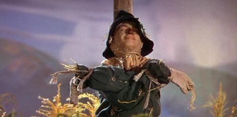 People always ask you for directions. | 22 Problems Only People With Resting Niceface Will Understand Scarecrow Pictures, Scarecrow Wizard Of Oz, Wizard Of Oz Scarecrow, Oz Scarecrow, Wizard Oz, Wizard Of Oz 1939, Creative Arts Therapy, Lemon Drops, Wicked Witch Of The West