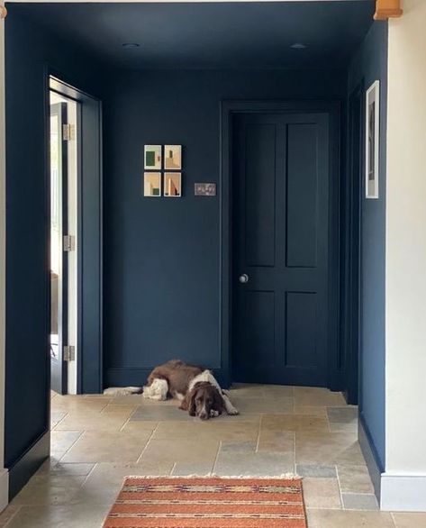 Little Greene on Instagram: "The inky blue, Basalt provides impact in both interior and exterior projects. ⁠ ⁠ Credit: @_nine_lives_design⁠ Walls and woodwork: Basalt" Lick Blue 07 Paint, Hague Blue Hallway, Farrow And Ball Navy, Walls And Doors Same Color, Hicks Blue Little Greene, Hague Blue Bathroom, Dark Blue Hallway, Blue Interior Doors, Dark Lounge