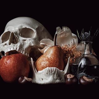 Louis Rakovich (@louisrakovich) • Instagram photos and videos Vanitas Still Life, Vanitas Paintings, Macross Anime, Ancient Statues, Creepy Tattoos, Famous Monsters, Skull Painting, Still Life Photos, Drawing Set