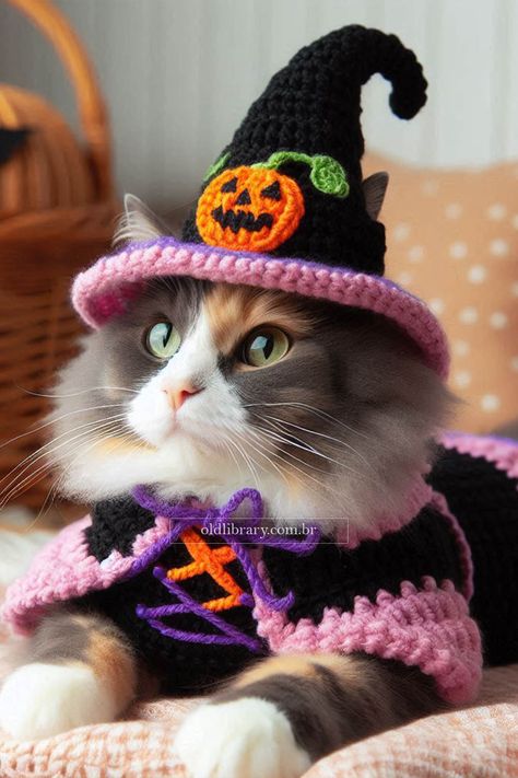 Crochet an adorable witch costume for your cat this Halloween with this easy-to-follow pattern. Perfect for spooky fun! Witch Hat For Cat Crochet, Witch Hat Cat Crochet, Crochet Witch Hat For Cat, Crochet Cat Tail For Costume, Cat Costume Crochet, Crochet Dog Costumes Halloween, Crochet Cat Halloween Costume, Crochet Cat Sweater Free Pattern, Crochet Cat Costume