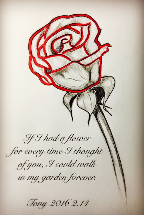 Valentines day quote / Rose sketches Valentines Day Quote, Rose Sketch, Valentine Theme, Valentine's Day Quotes, Mini Drawings, Quote Of The Day, Valentines Day, Valentines, Drawings