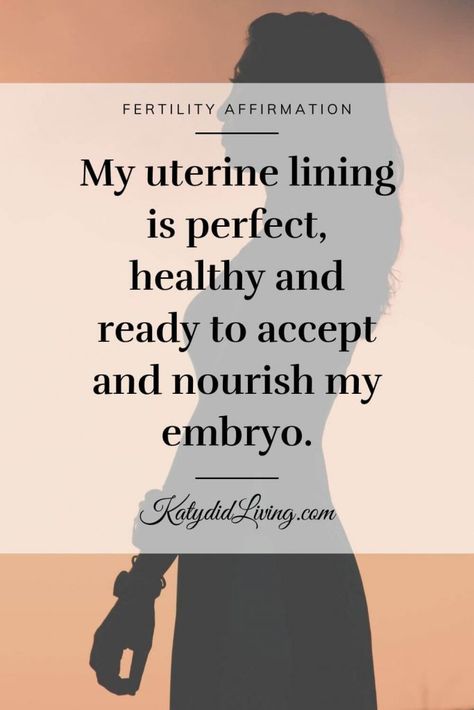 Ttc Manifestation, Embryo Transfer Affirmations, Pregnancy Vision Board, Fertility Aesthetic, Manifesting Pregnancy, Pregnancy Manifestation, Manifesting Baby, Manifest Baby, Embryo Implantation