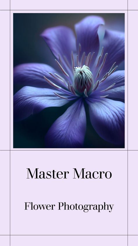 Useful help and advice on improving your macro flower photography Creative Macro Photography, Macro Lens Photography, Macro Flower Photography, Flower Photography Art, Macro Photography Abstract, Flower Reference, Macro Photography Nature, Macro Pictures, Macro Photography Flowers