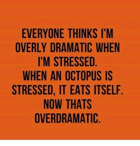 everyone-thinks-im-overly-dramatic-when-im-stressed-when-an-octopus Overreacting Quotes, Dramatic Quotes, Fantastic Quotes, The Darkest Minds, Teacher Memes, Funny Animal Quotes, Bones Funny, Meaningful Quotes, True Quotes