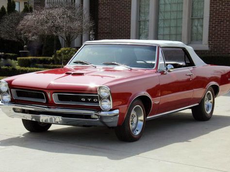 1965 Gto, Pontiac Gto Convertible, Gto Convertible, Pontiac Gto For Sale, 1966 Gto, 1965 Pontiac Gto, Pontiac Cars, Mustang Cars, Us Cars