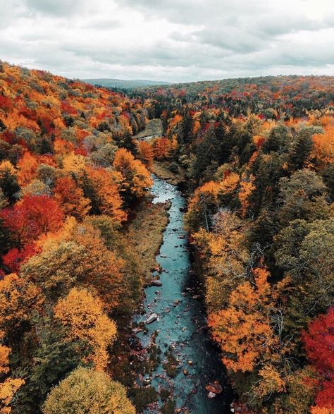 Have Inspiration, Wallpaper Laptop, Red Leaves, Autumn Scenery, Fall Pictures, Autumn Aesthetic, Fall Wallpaper, Autumn Photography, Nature Aesthetic