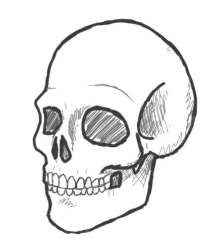 Drawing a Skull in a few simple steps – Drawing Art Blog Animated Skull Drawing, Skull Outline Drawing Simple, Skull Sketch Simple How To Draw, Scelotin Drawing Easy, Cute Skeleton Drawing Easy, Skull Sketches Easy, Skeleton Head Drawing Easy, Skull Drawing Simple Step By Step, Skull Doodle Simple