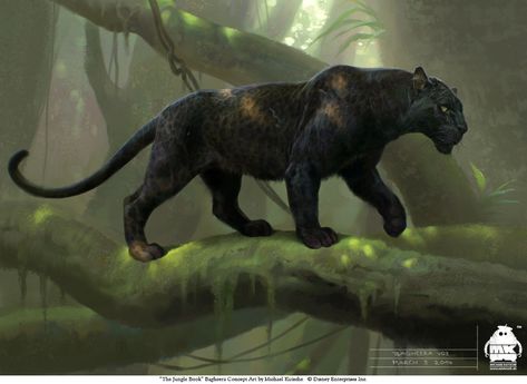 Jungle Book Bagheera, Black Panther Animal, Macan Kumbang, Jungle Book Characters, Panther Animal, Black Panther Cat, Panther Pictures, Black Panther Tattoo, Panther Cat