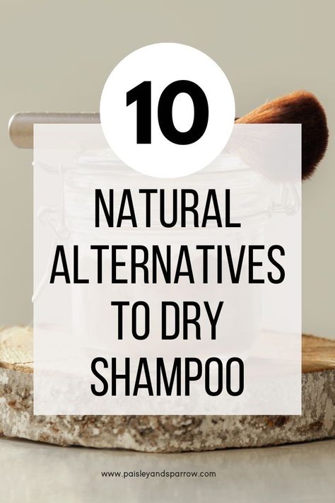 Here are 10 different dry shampoo alternatives that you can try on your hair today! Most of these are completely natural that you already have in your home. What To Use Instead Of Dry Shampoo, Dry Shampoo Alternative, Dry Shampoo Recipe, Organic Dry Shampoo, Shampoo Alternative, Natural Dry Shampoo, Dry Shampoo Powder, Skincare Shop, Best Dry Shampoo