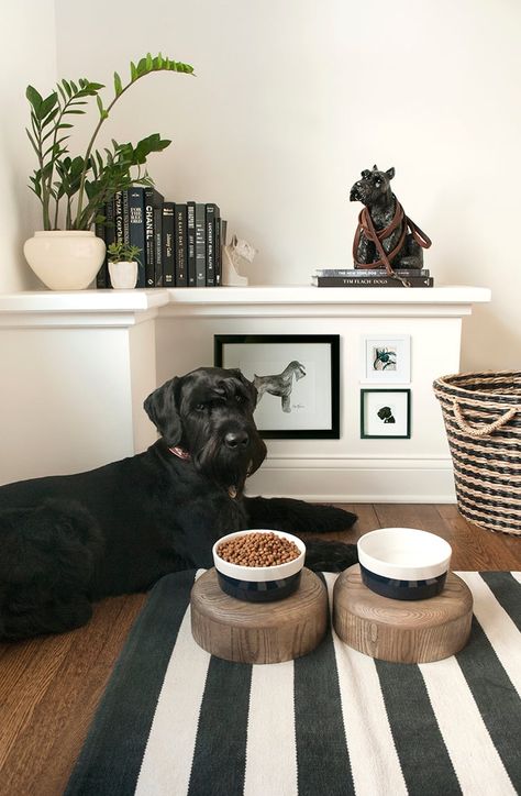 For the Dog Lovers - Room For Tuesday Dog Room Design Ideas, Pet Area In Apartment, Pet Room Aesthetic, Dog Entryway Ideas, Dog Room Set Up, Puppy Home Ideas, Dog Corner Ideas Living Room, Cozy Dog Corner, Dog Interior Design