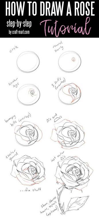 Ako Kresliť, Easy Pencil Drawings, Rose Step By Step, Draw A Rose, How To Draw Flowers, Organizator Grafic, Draw Flowers, Drawing Hands, Pencil Sketch Drawing