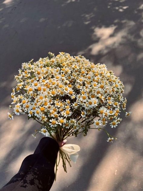 Boquette Flowers, Culture Magazine, Nothing But Flowers, Flower Therapy, Beautiful Bouquet Of Flowers, Spring Vibes, Photography Wallpaper, Jolie Photo, Say More