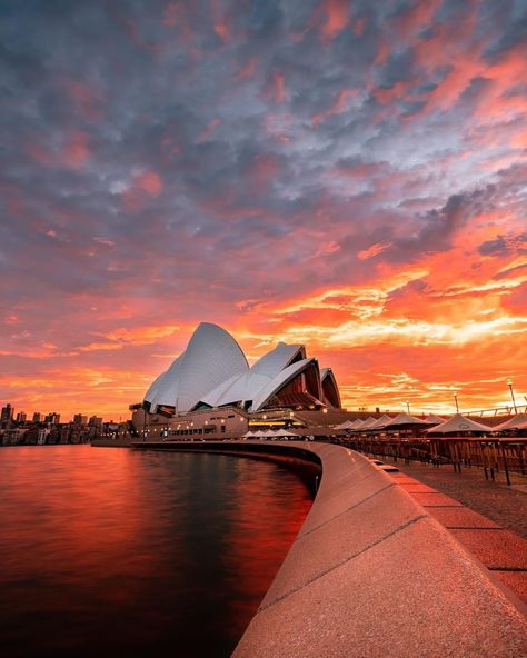 Australia on Instagram: “A simply surreal @Sydney sunrise. 🔥 Autumn has been delivering some absolutely stunning #sunrise and sunset action, and this super…” Autumn In Australia, Australia Sunset, Desktop Background Images, Scenery Background, Best Sunset, Wall Papers, Nsw Australia, Beautiful Scenery, Sydney Australia