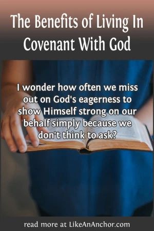 The Benefits of Living In Covenant With God – Like An Anchor Covenants In The Bible, Covenant With God, Bible Pics, Bible Charts, Twenty Twenty, Overcome The World, In Christ Alone, Night Prayer, Stay Real