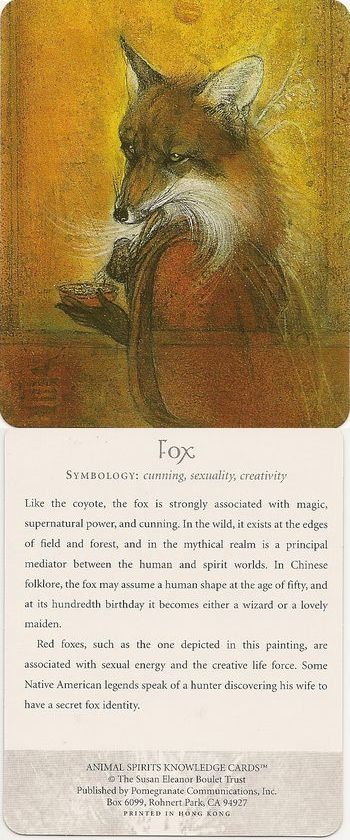 Symbology Fox Spirit Animal Art, Fox Spirit Animal Meaning, Fox Personality, Fox Familiar, Spirit Animal Fox, Fox Symbolism, Fox Spirit Animal, Fox Magic, Fox Totem