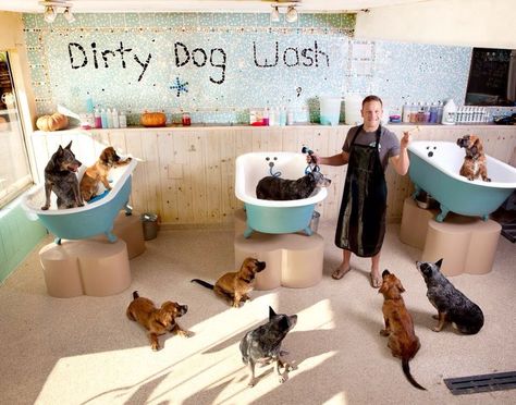 Pet Grooming Tub, Dog Daycare Business, Dog Grooming Tubs, Pet Cafe, Pet Grooming Salon, Dog Grooming Shop, Dog Spa, Dog Washing Station, Dog Grooming Salons