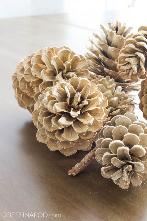 Bleach Pinecones, Christmas Diy Sewing, Pine Cone Art, Diy Pinecone, Cone Trees, Easy Diy Decor, Boutique Ideas, Pine Cone Decorations, Pinecone Wreath