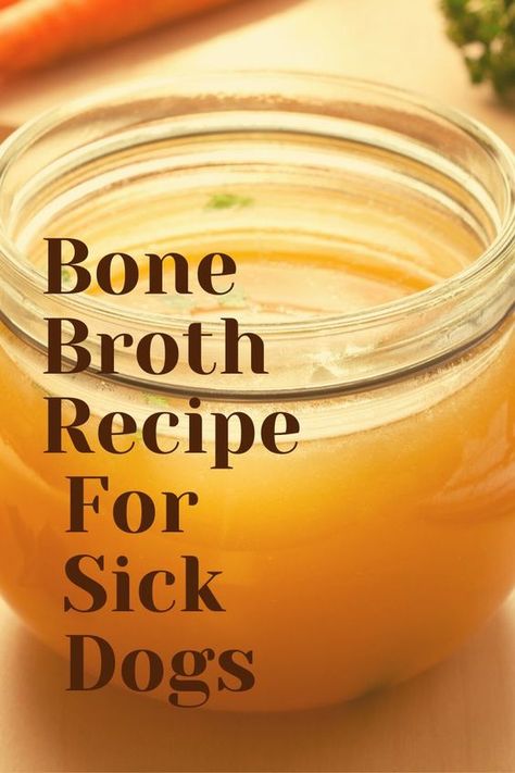 Foods Dogs Can Eat, Easy Dog Treat Recipes, Chicken Bone Broth, Make Dog Food, Dog Biscuit Recipes, Dog Remedies, Easy Dog Treats, Healthy Dog Treats Homemade, Bone Broth Recipe