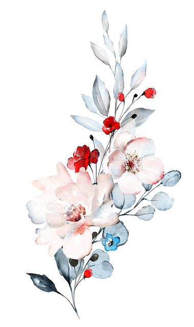 Blossoms Art, Watercolor Flower Art, 수채화 그림, Watercolor Flowers Paintings, Flower Art Painting, Watercolor Inspiration, Flower Illustration, Flower Backgrounds, Drawing Tips