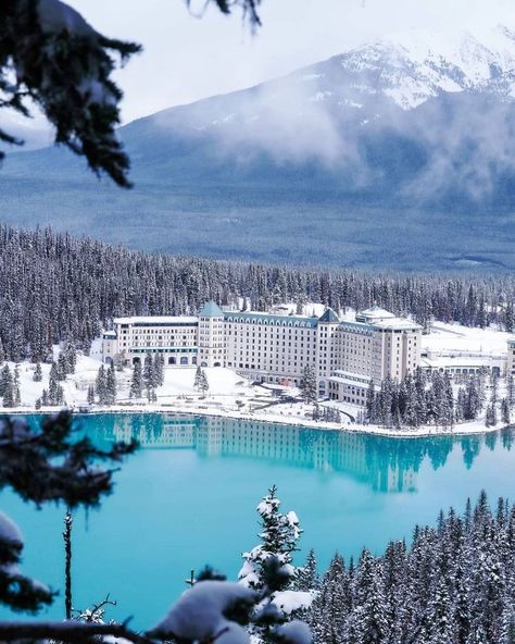 Beautiful & Luxury Hotels on Instagram: “Would you spend Christmas in this Winter Wonderland 🎄❄️ Location: Lake Louise, Banff Price: $200-500 USD 5 stars Photo by: @samk24” Lake Louise Winter, Lake Louise Canada, Lake Louise Banff, Fairmont Chateau Lake Louise, Chateau Lake Louise, Winter Travel Destinations, Canada Photography, Canada Photos, Lake Louise