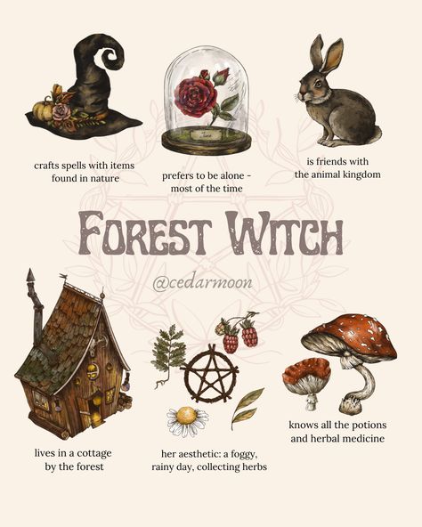 Forest Witch Vibes 🍂Instagram the Witches haunt Magical forest #zicxa-photos #zicxa #images #background #wallpaper #freepik #shutterstock #VN Witchy Practices, Witch Info, Forest Witch Aesthetic, Spell Ideas, Herbal Hair Rinse, Couple Cards, Nature Witch, Art Witch, Green Witchcraft