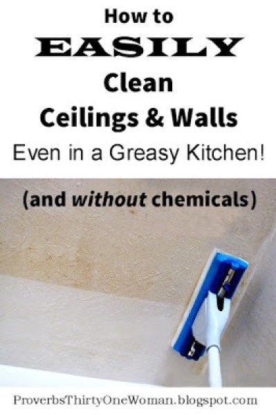 Cleaning Ceilings, Homemade Toilet Cleaner, Cleaning Painted Walls, Glass Cooktop, Deep Cleaning Tips, Kitchen Cleaning Hacks, Cleaning Walls, Clean Dishwasher, Kitchen Cleaning