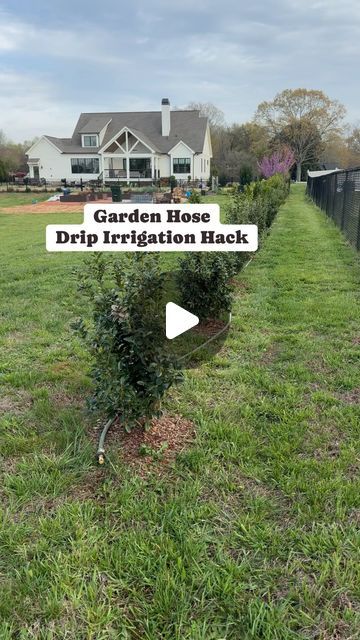 Julie | Farmhouse On Waters on Instagram: "I’m loving this hack! It will definitely save us so much time watering these new shrubs in our backyard. We didn’t want to water by hand or use a soaker hose or a sprinkler and water all the grass around the shrubs. That’s why we decided to use what we had which was an old garden hose and make our own drip irrigation. We used 2 gallon an hour emitters on each shrub and a water pressure reducer regulator so the drip emitters would stay in place. We also installed a shut off valve for the end of the hose. I’ve linked all the items in my Amazon storefront which is linked in my bio. Let me know if you have any questions. 

#gardenhack #gardenhacks #gardeninghacks #irrigation #watering #backyardlandscape #landscaping #dripirrigation #diybackyard #reduc Garden Sprinkler Ideas, Garden Irrigation Ideas Diy, Garden Irrigation Ideas, Watering Garden Ideas, Soaker Hose Irrigation, Veggie Storage, Sprinkler System Diy, Water Sprinkler System, Irrigation Diy