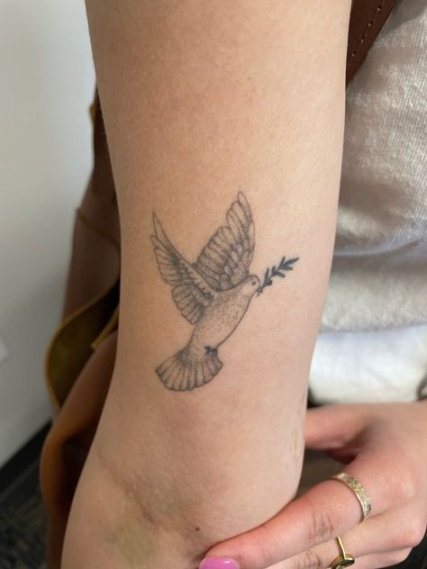 Biblical Dove Tattoo, Dove Carrying Olive Branch Tattoo, Dove Olive Branch Tattoo, Dove And Olive Branch Tattoo, Dove With Olive Branch Tattoo, Dove Olive Branch, Dove With Olive Branch, Olive Branch Tattoo, Dove Tattoo