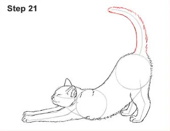 Draw a Tabby Cat Stretching 21 Cat Stretching Drawing, Stretching Drawing, Draw A Cat, Back Drawing, Drawing Instructions, Cat Drawing Tutorial, Elephant Coloring Page, Cat Stretching, Cat Body