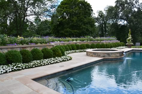 Classic Pool Landscaping, Traditional Pool Landscaping, Boxwood Around Pool, Retaining Walls Around Pools, Pool Landscaping With Retaining Wall, Hydrangea Pool Landscaping, Southern Pool Landscaping, Boxwoods Around Pool, Hamptons Pool Landscaping