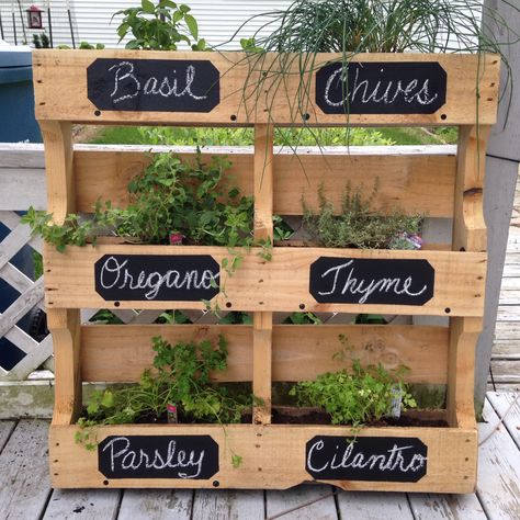 Pallet herb garden Herb Pallet, Pallet Herb Garden, Easy Small Garden Ideas, Backyard Garden Ideas, Functional Garden, Herb Garden Pallet, Pallet Projects Garden, Outdoor Herb Garden, Amazing Backyard