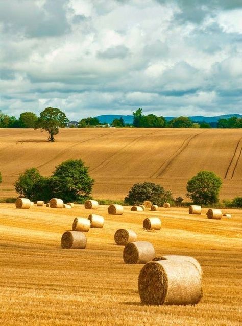 Field With Hay Bales, Hay Aesthetic, Country Family Photography, Hay Bale Painting, Bale Of Hay, Bales Of Hay, Hay Field, Farm Paintings, Southern Life