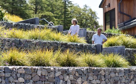 Gabion Wall, Retaining Wall, Planting, Landscape Architecture, Farm House Modern Retaining Wall Planting, Garden Backyard Ideas, Hillside Gardening, Steep Gardens, Gabion Retaining Wall, Garden Woodland, Terraced Garden, Landscaping A Slope, Fireplace Outdoor