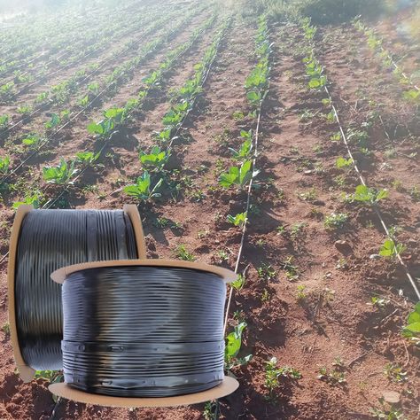 1 hectare irrigation kit agricultural drip tape system farm drip irrigation 22 hectares https://m.alibaba.com/product/1600590498860/1-hectare-irrigation-kit-agricultural-drip.html?__sceneInfo={"cacheTime":"1800000","type":"appDetailShare"} Drip Irrigation System Design, Irrigation System Design, Irrigation Valve, Drip Tape, Garden Hose Storage, Misting System, Spray Ground, Lawn Irrigation, Water Irrigation