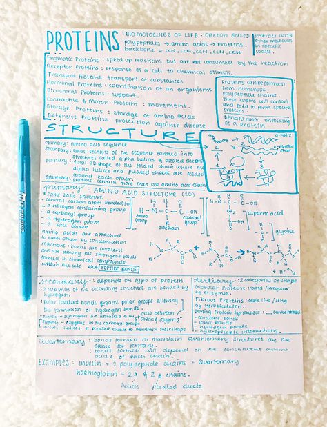 Protein Notes Biochemistry, Proteins Notes, Protein Biochemistry, Proteins Biology, Carbohydrates Biology, Protein Biology, Biochemistry Major, Biological Molecules, Bio Notes